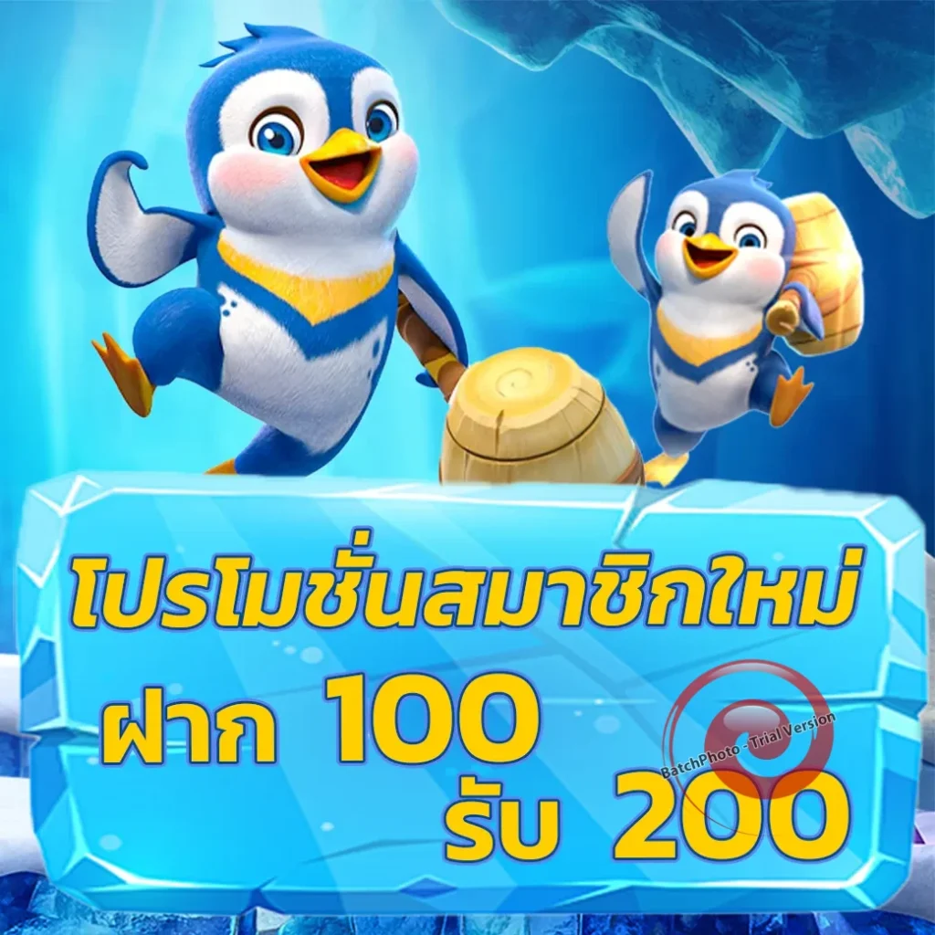 LIPO-555 ฝากถอน 24